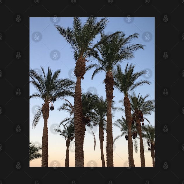 Palm Trees by SPACE ART & NATURE SHIRTS 