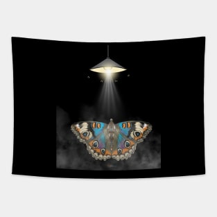 beautiful moth butterfly Tapestry