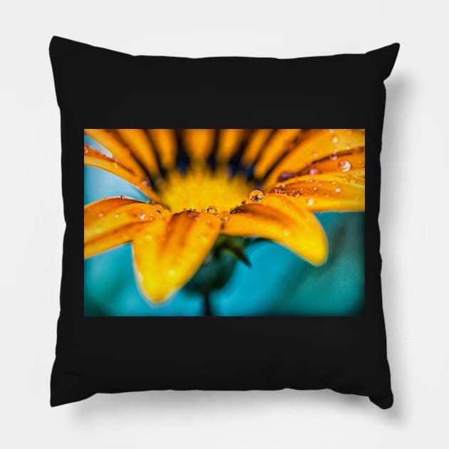 Water Drops Pillow by ken47