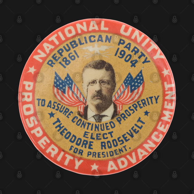 Disover Theodore Roosevelt In 1904 - Theodore Roosevelt - T-Shirt