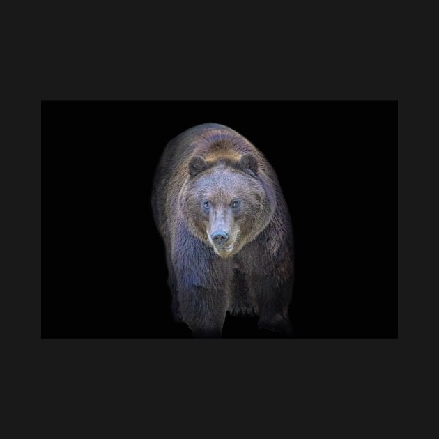 Grizzly Bear Animal Wildlife Forest Nature Adventure Hunt Spotlight Digital Painting by Cubebox