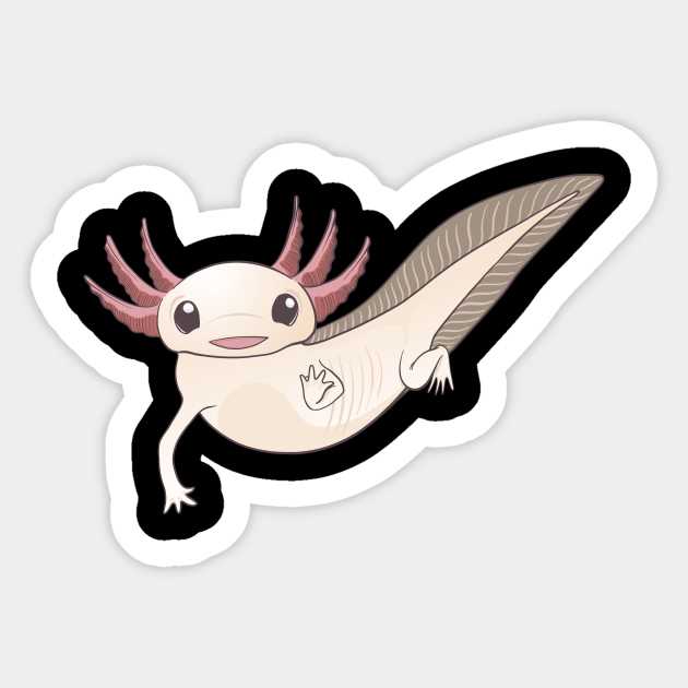 Friendly Axolotl Axolotl Sticker Teepublic Friendly Axolotl Axolotl Sticker Teepublic