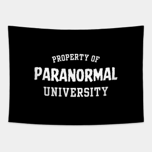 Paranormal Investigator University Tapestry