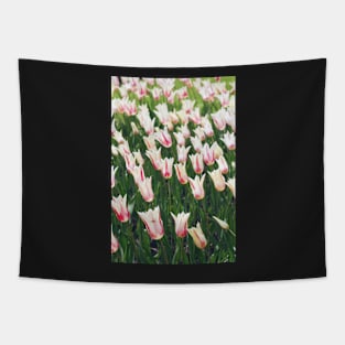 Tulips Tapestry