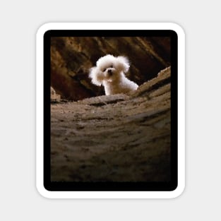 THE SILENCE OF THE LAMBS DOG PRECIOUS Magnet