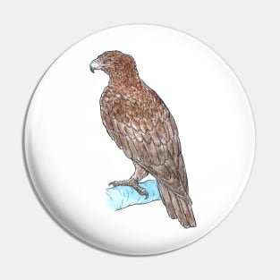 Wedge-tailed Eagle Pin