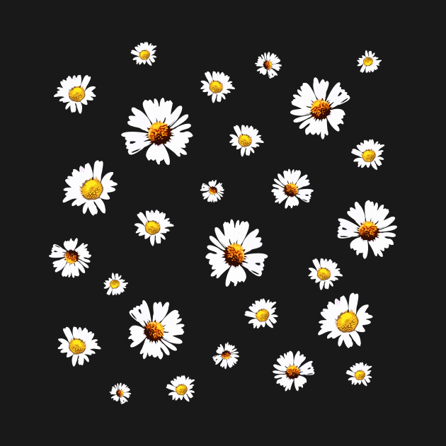 Daisy Collage (Bellis perennis, Asteraceae) by RosArt100