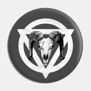 ARIES RAM Pin