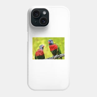 Two Rainbow Lories Phone Case