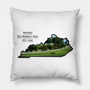 Kentucky USA Pillow