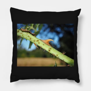 Wild rose stem with thorns Pillow