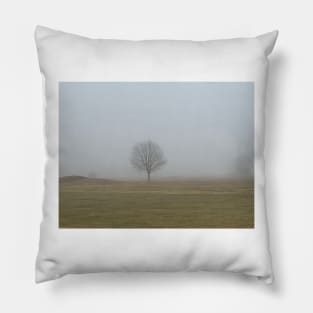 Fog Pillow