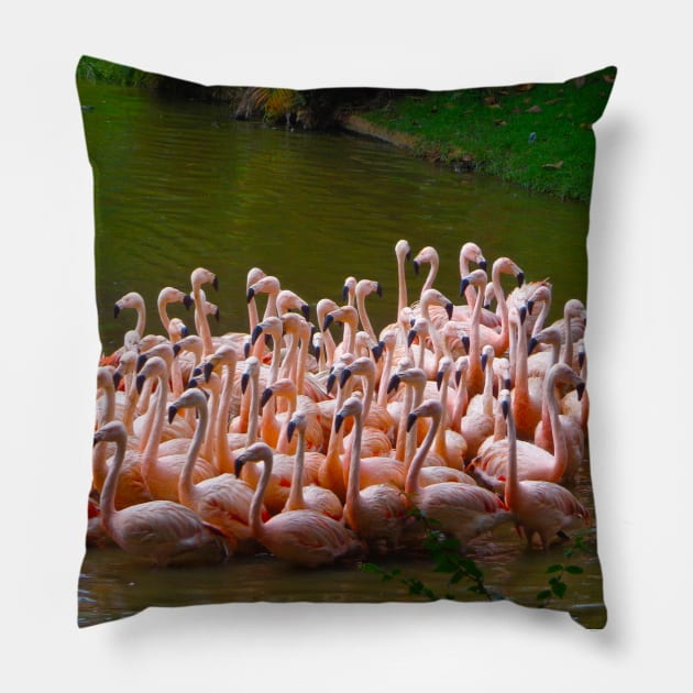 Flaming birds Pillow by Marccelus