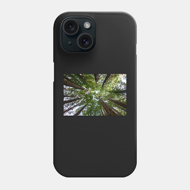 Looking up to the Redwood trees. Phone Case by sma1050