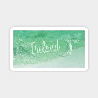 Love Ireland Magnet