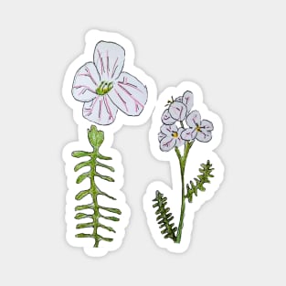 Cuckoo Wildflower Magnet