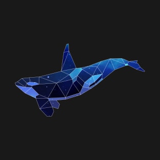 Galaxy Orcas T-Shirt