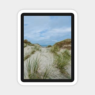 View on dunes along the North Sea, Europe Magnet