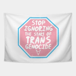 Stop Ignoring Trans Genocide - Trans Rights Sticker - Pink Tapestry