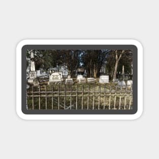 Cemetery Scene Magnet