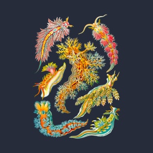 Ernst Haeckel Nudibranch Sea Slugs T-Shirt