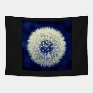 Dandelion Tapestry