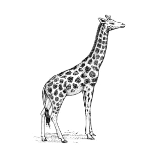 Giraffe T-Shirt