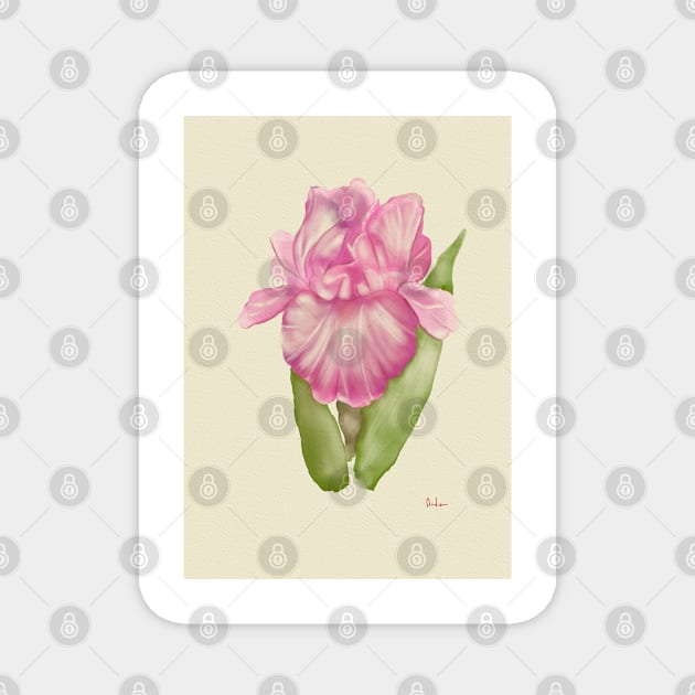 Watercolour Pink Iris Flower Magnet by annalisaamato