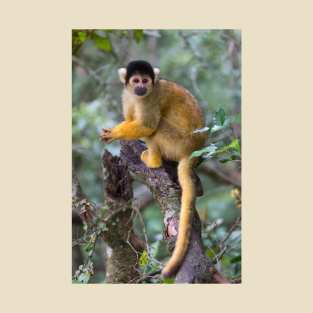 Black-Capped Squirrel Monkey T-Shirt