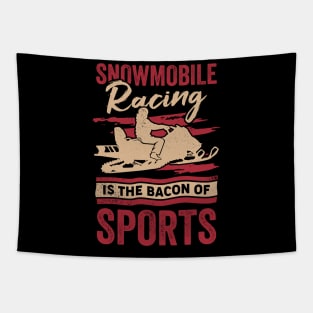 Snowmobile Racing Is The Bacon Of Sports Tapestry