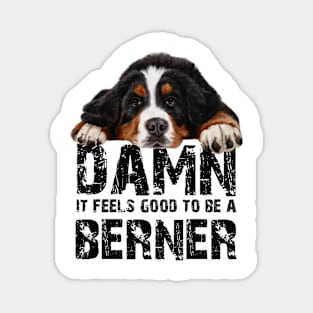 Bernese mountain dog Magnet