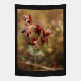 hare's foot trefoil, red leaves 2 Tapestry