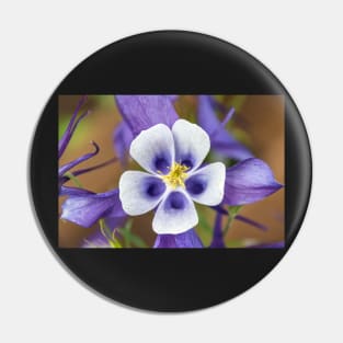 Colorado State Flower Blue Columbine Pin