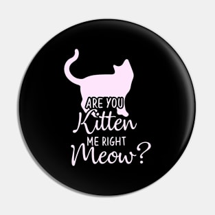 Funny Humor Cat Gift, Are You Kitten Me Right Meow Pin