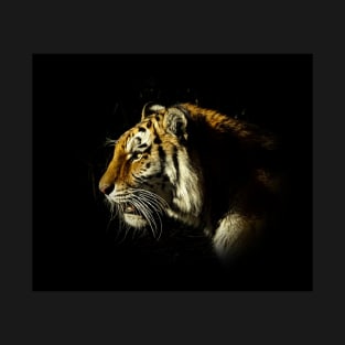 Tiger in the dark T-Shirt