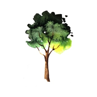 Watercolor Tree T-Shirt