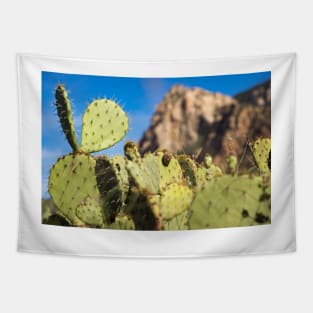 cactus Tapestry