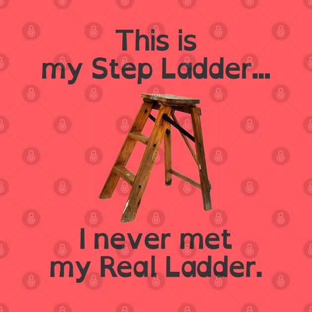 This is my Step Ladder by SaKaNa