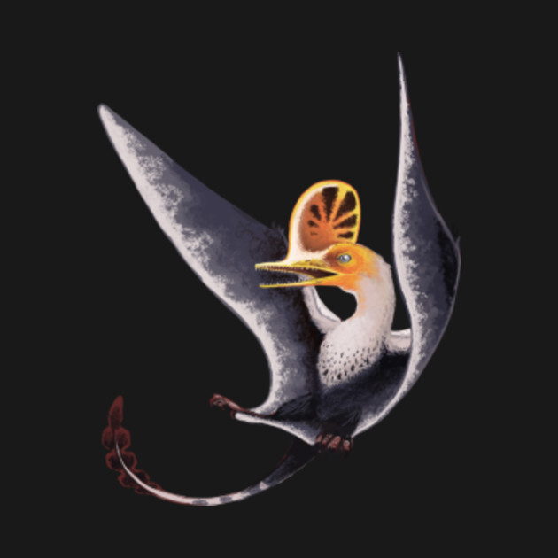 darwinopterus