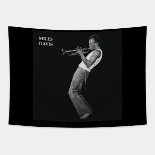 MILES DAVIS Tapestry