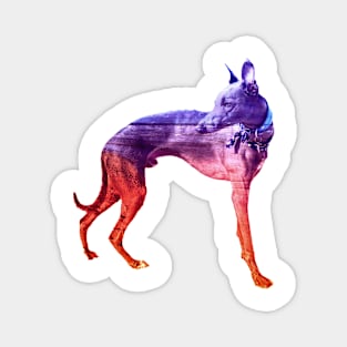 Purple & Red Waves Whippet Magnet