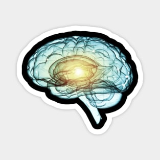 Brain 1 Magnet