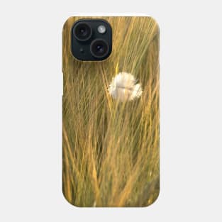 A feather amongst the summer barley in a Norfolk field, UK Phone Case