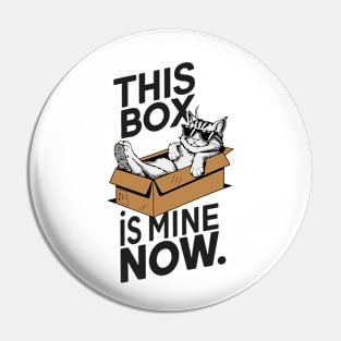 Cat in a box Pin