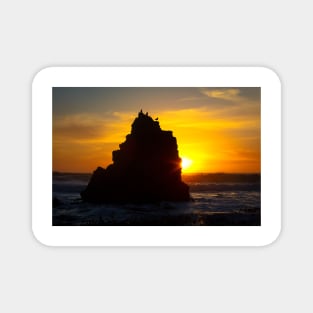 Bird Rock Sunset Magnet