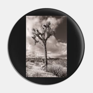 Joshua Tree monochrome Pin