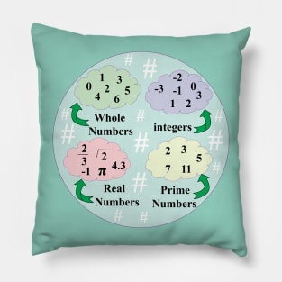 types of Numbers in mathematics for math students Pillow