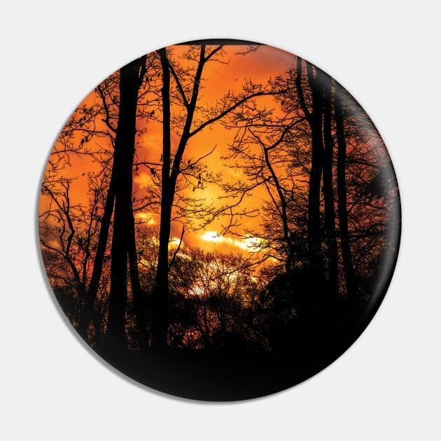 sunset in the woods Pin by rclsivcreative