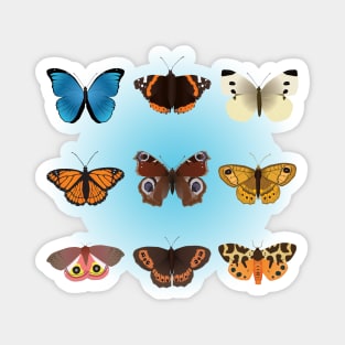 A collection of nine butterflies Magnet