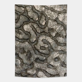 Volcanic Rock Pattern - Alternative Tapestry